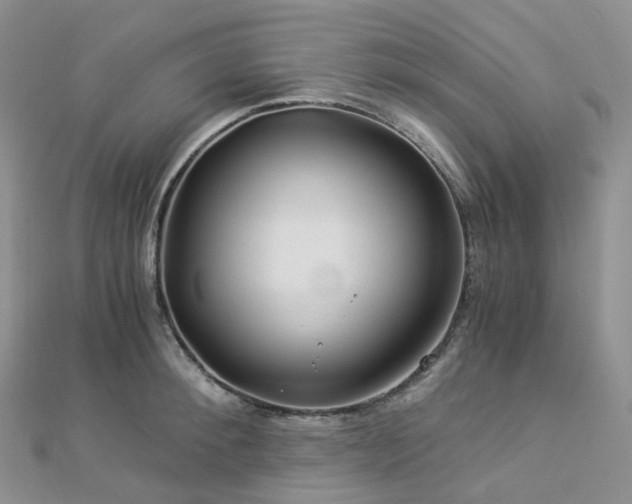 X0000112900900200908211513