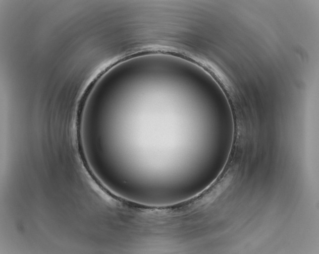 X0000112900902200908211513