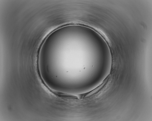 X0000112900903200908211513