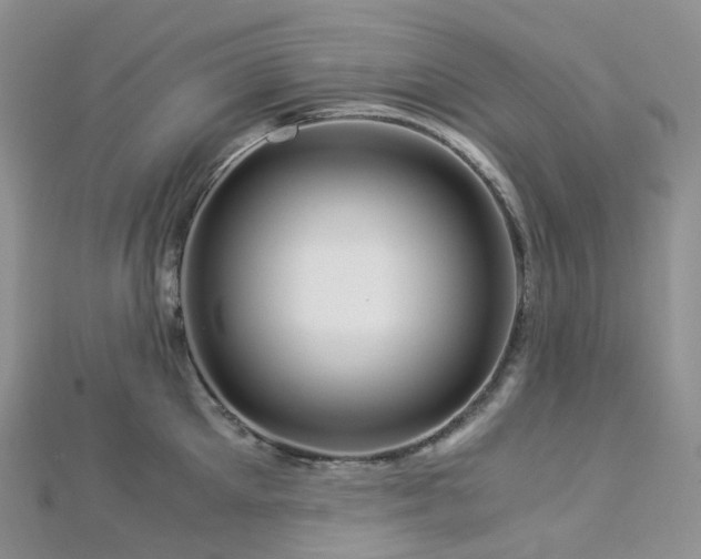 X0000112900905200908211513