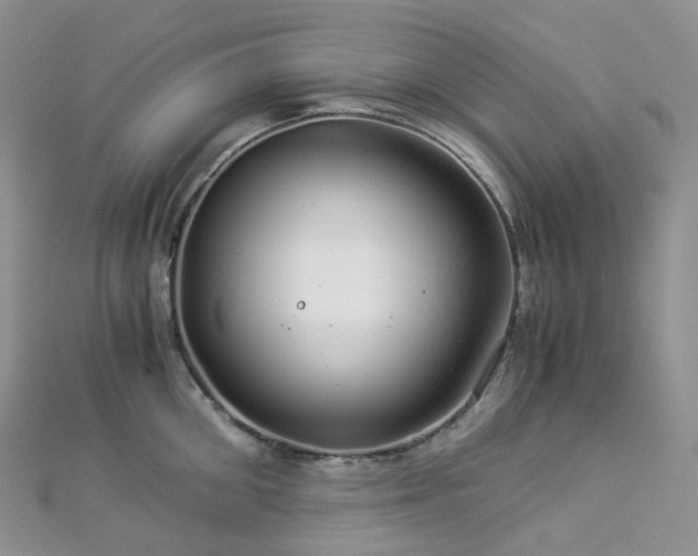 X0000112900906200908211513