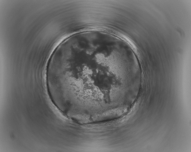 X0000112900907200908211513