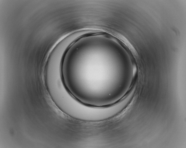X0000112900908200908211513
