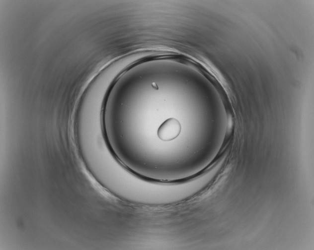 X0000112900909200908211513