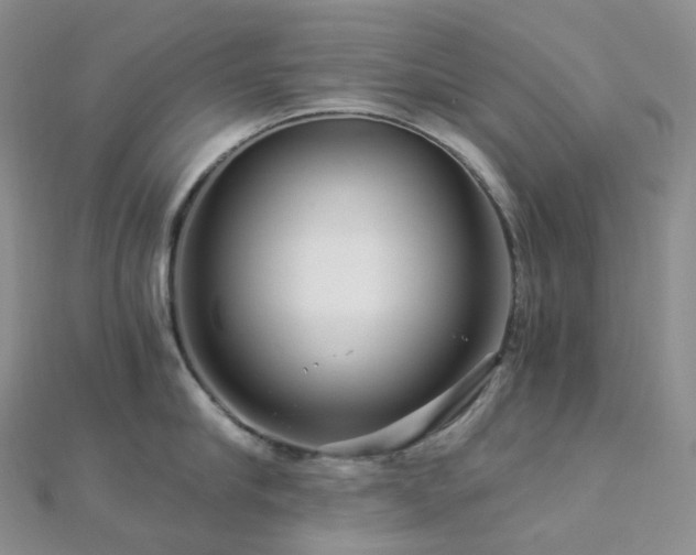 X0000112900910200908211513