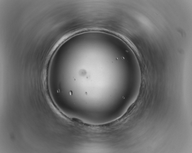 X0000112900911200908211513