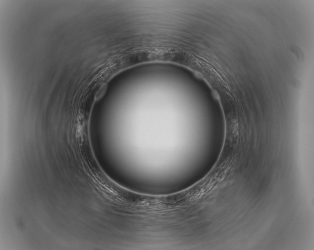 X0000112900914200908211512