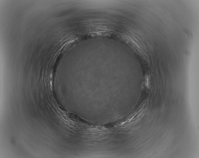 X0000112900915200908211512