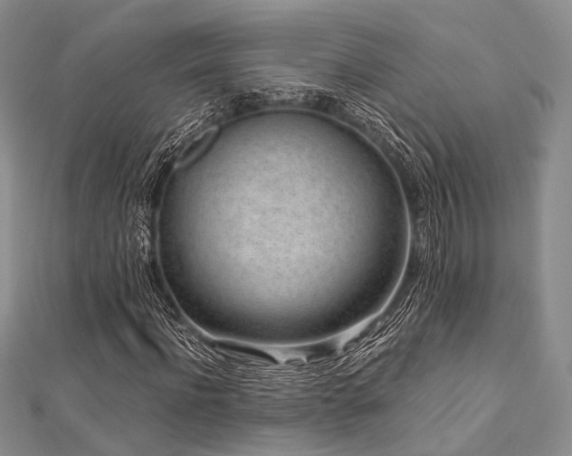 X0000112900916200908211512