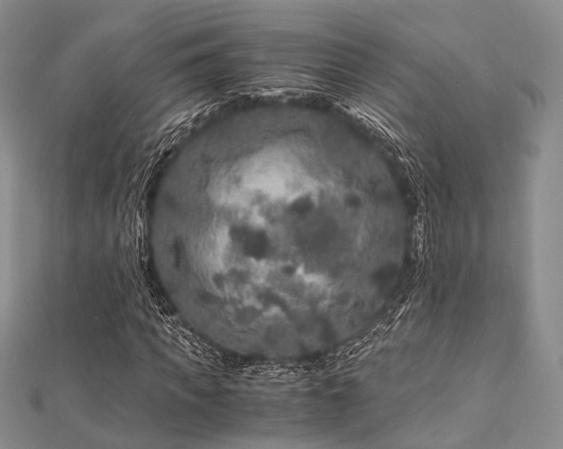 X0000112900917200908211513