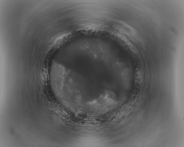 X0000112900918200908211513