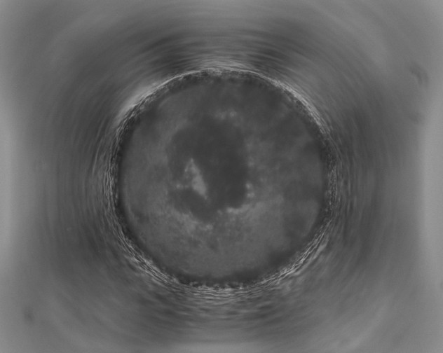 X0000112900919200908211513