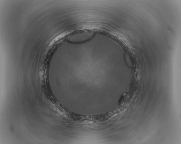 X0000112900920200908211513