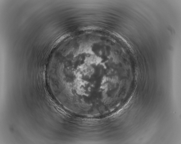 X0000112900921200908211513