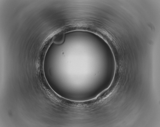 X0000112900922200908211513