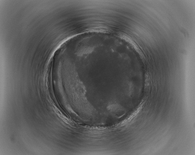 X0000112900923200908211513