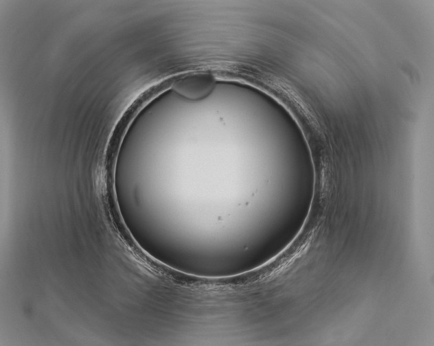 X0000112900924200908211513