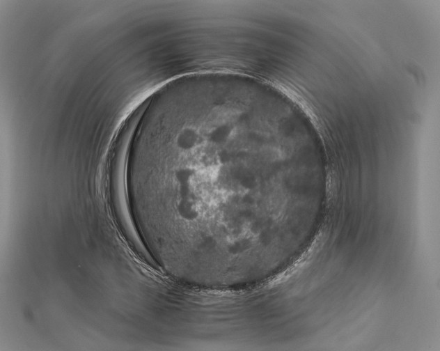 X0000112900925200908211513