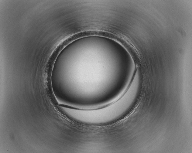 X0000112900926200908211513