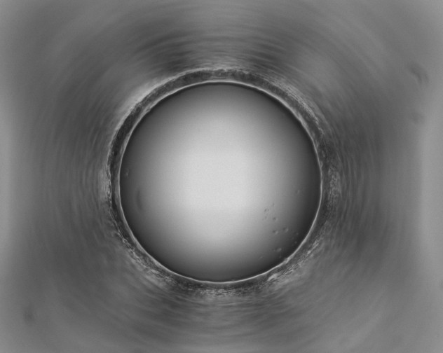X0000112900927200908211513