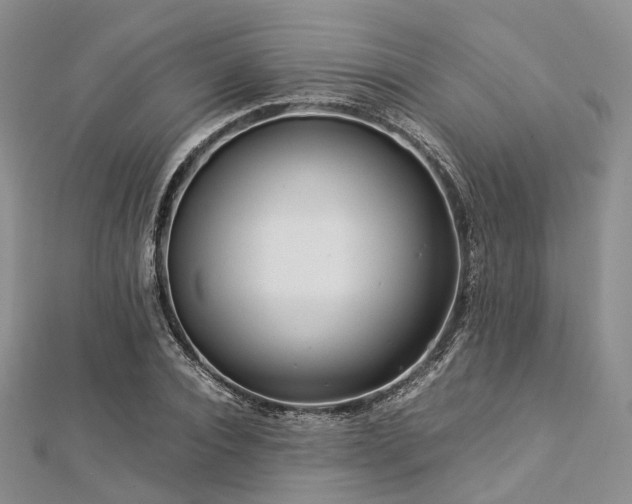 X0000112900928200908211513