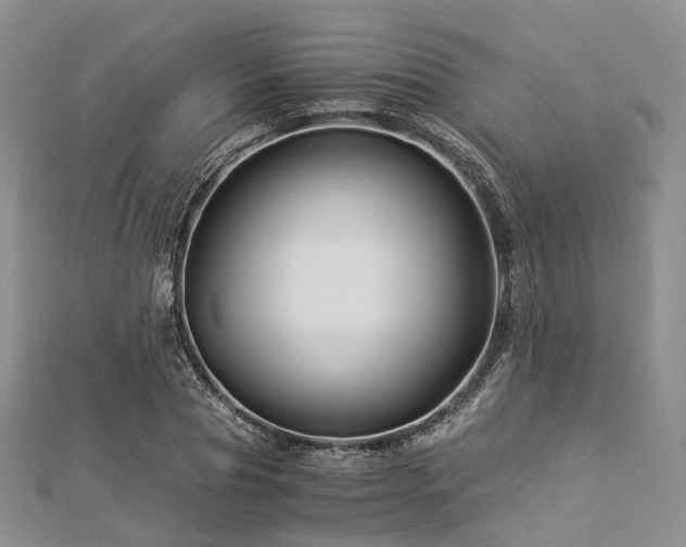 X0000112900929200908211513
