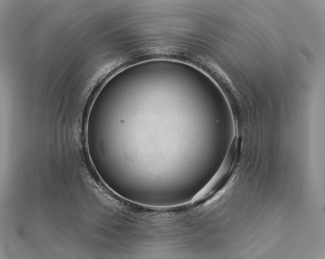 X0000112900930200908211513