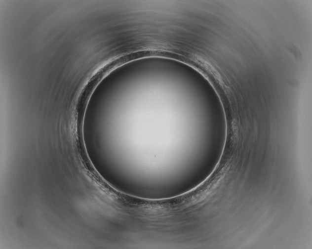 X0000112900931200908211513