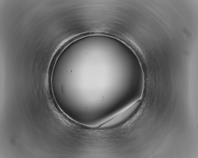 X0000112900932200908211513