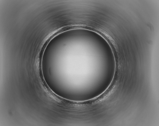 X0000112900933200908211513