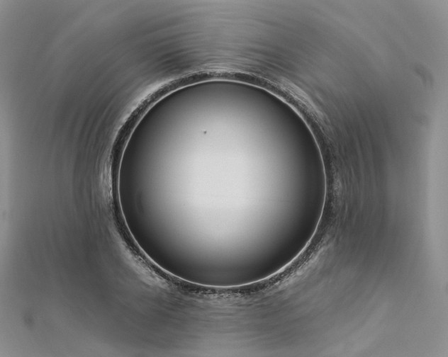 X0000112900934200908211513