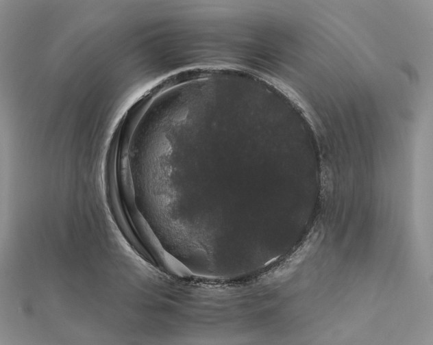 X0000112900935200908211513