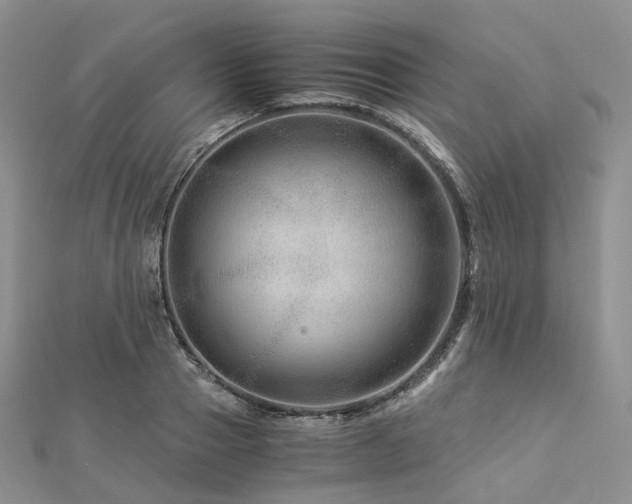 X0000112900937200908211513