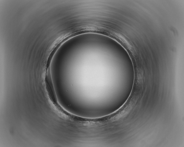 X0000112900938200908211513