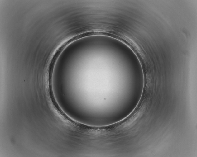 X0000112900939200908211513