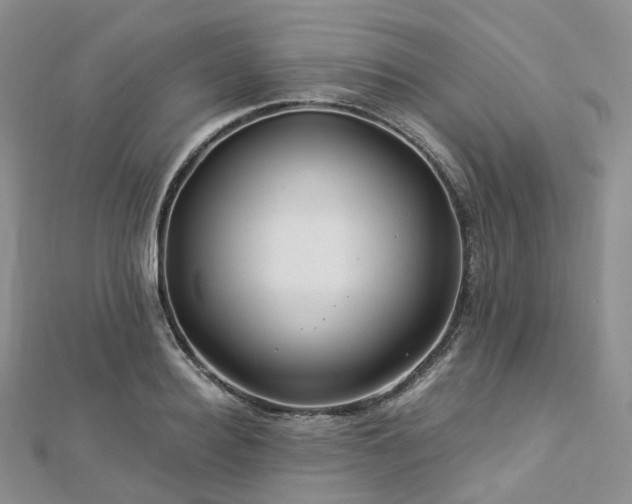 X0000112900940200908211513
