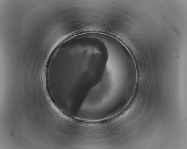 X0000112900941200908211513