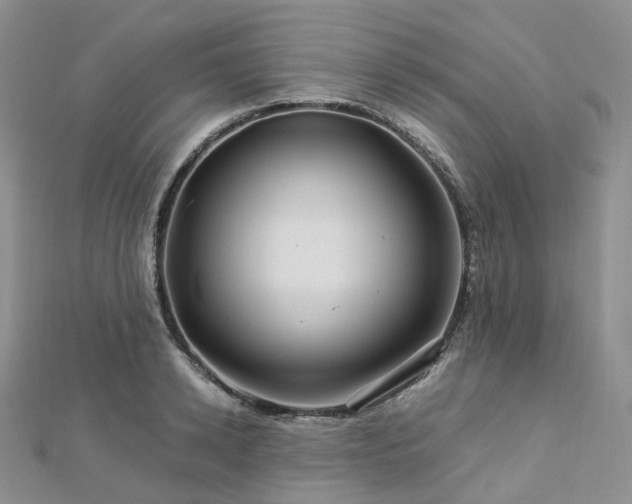 X0000112900942200908211513