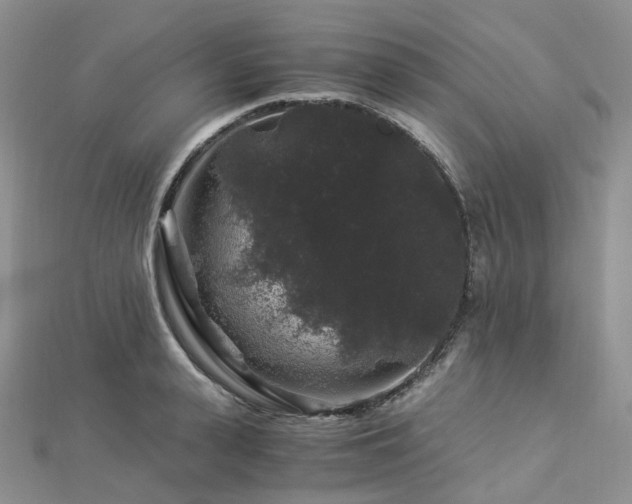 X0000112900943200908211513