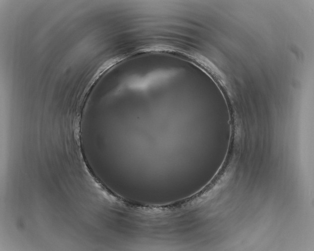 X0000112900945200908211513