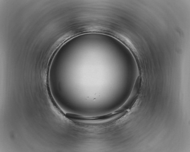 X0000112900946200908211513