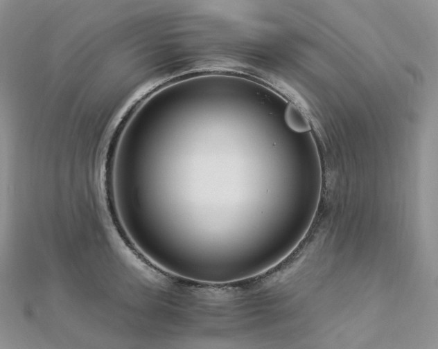 X0000112900947200908211513