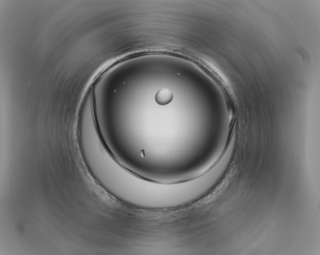 X0000112900948200908211513