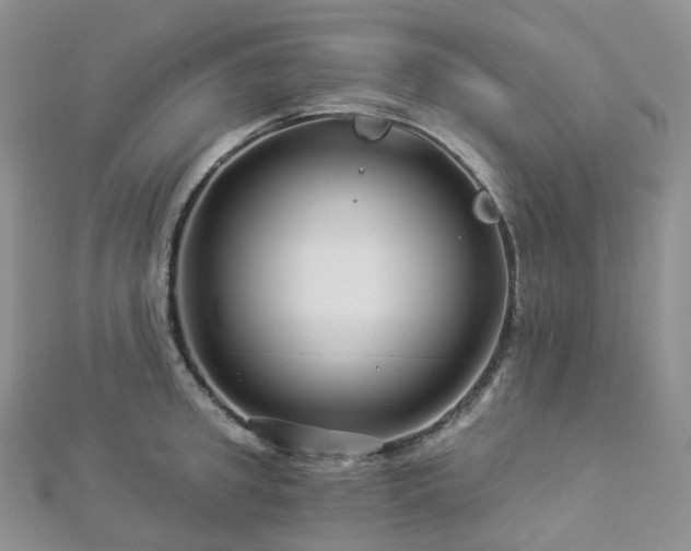 X0000112900949200908211513