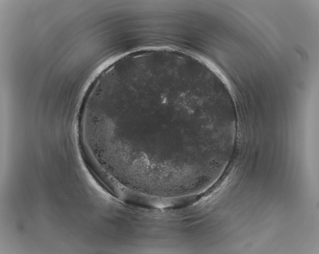 X0000112900951200908211513