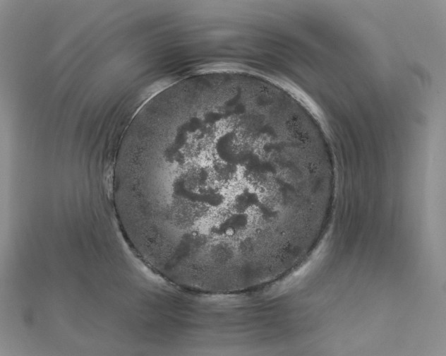 X0000112900953200908211513