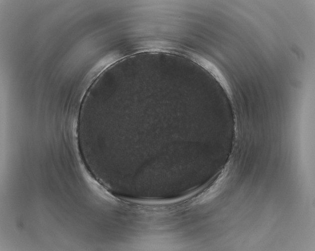 X0000112900954200908211513