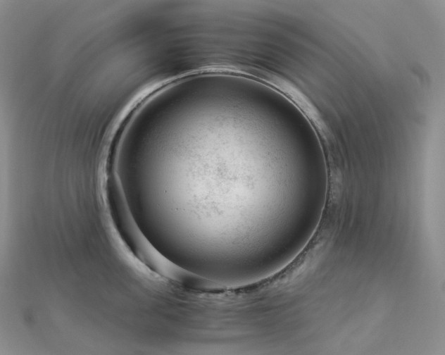 X0000112900955200908211513