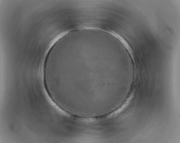 X0000112900957200908211513