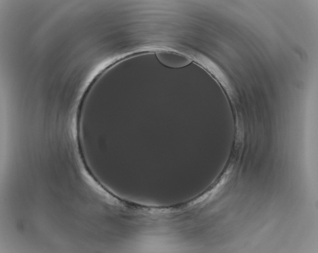 X0000112900958200908211513
